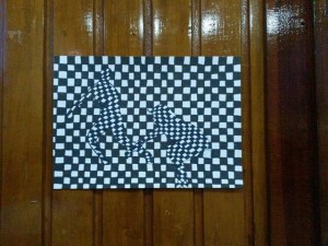 Op Art (13)