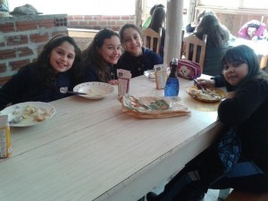 Estudos sobre a Imigração Italiana (13)