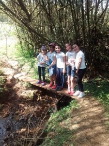 Passeio Tropeiro Camponez (188)