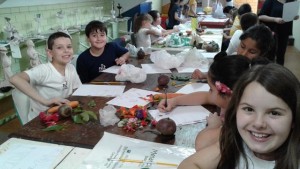 Extraindo tintas de vegetais (33)