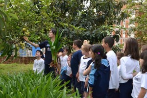 Mês da Bíblia (14)