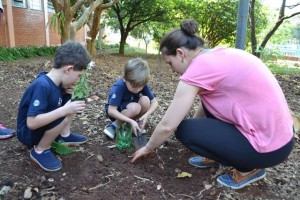 Plantio de Flores (261)