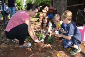 Plantio de Flores (54)