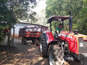 Visita de estudos (17)