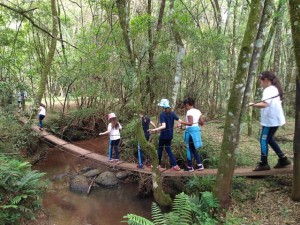 Tropeiro Camponez (132)