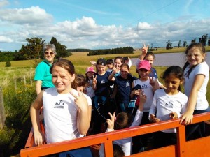 Tropeiro Camponez (235)