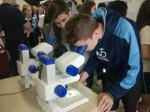 Viagem de estudos (18)