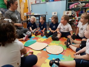 Estudando o Corpo Humano (4)