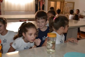 Sentimentos e emoções (60)